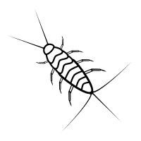 silverfish icon