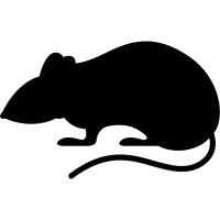 rodent icon