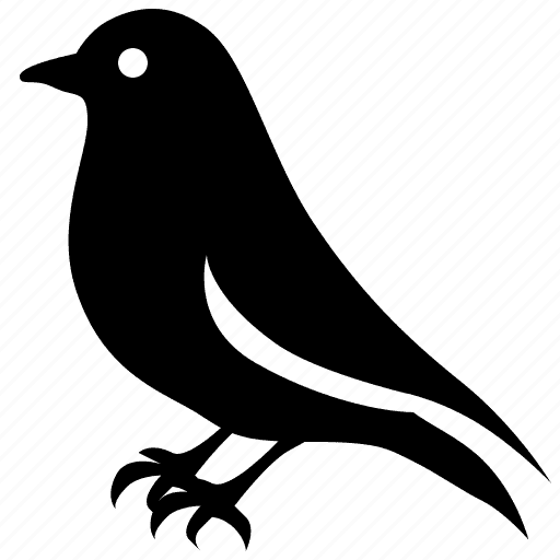 bird control