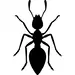 Ant Icon