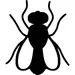 Fly