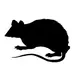Rat Icon