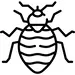 Bed Bug Icon