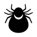 Bird Mite