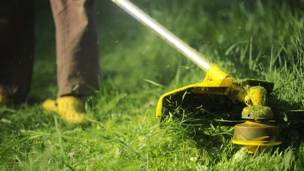 Step 4 - Mow & Cut Grass