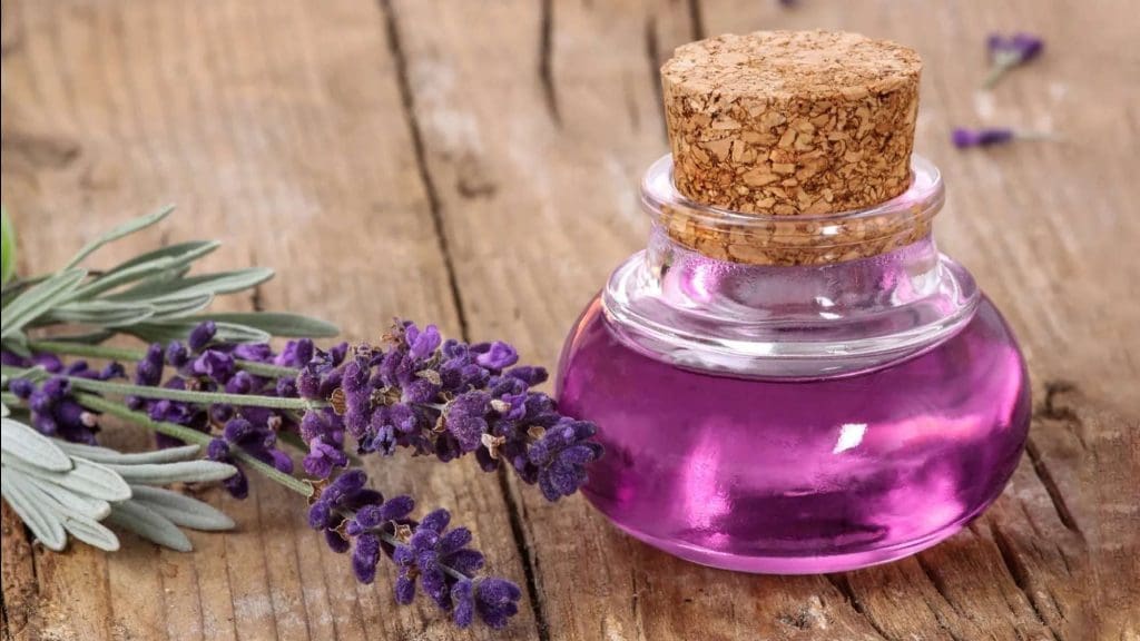 Step 6 - Use Repellent Scents