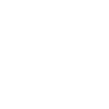 Safe Icon