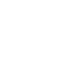 Shield Icon